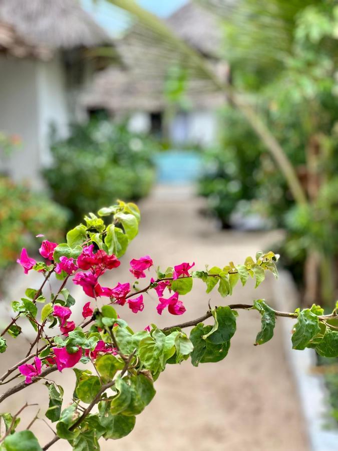 Jambiani White Sands Bungalows Eksteriør bilde