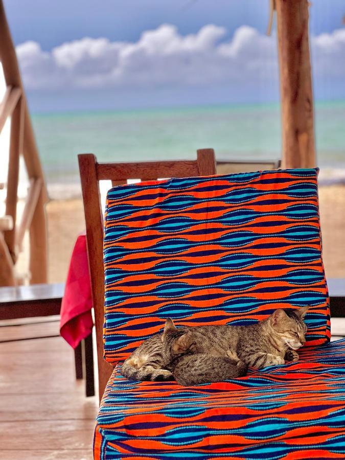 Jambiani White Sands Bungalows Eksteriør bilde