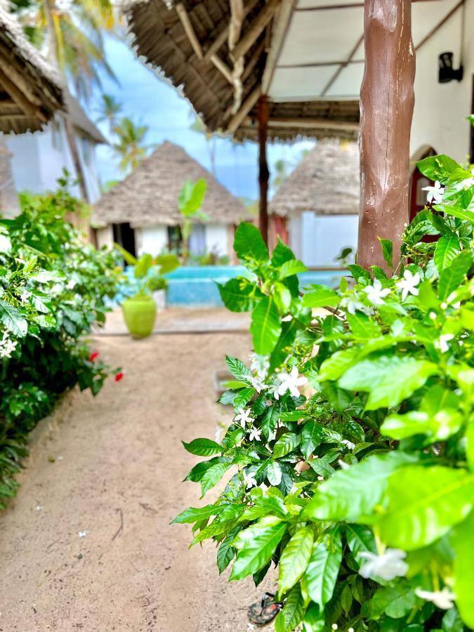 Jambiani White Sands Bungalows Eksteriør bilde